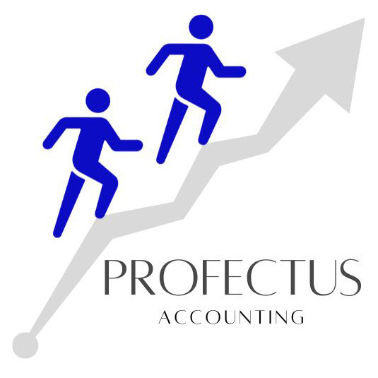 Profectus Bookkeeping Services